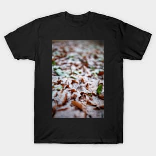 Leaves powdered with snow T-Shirt